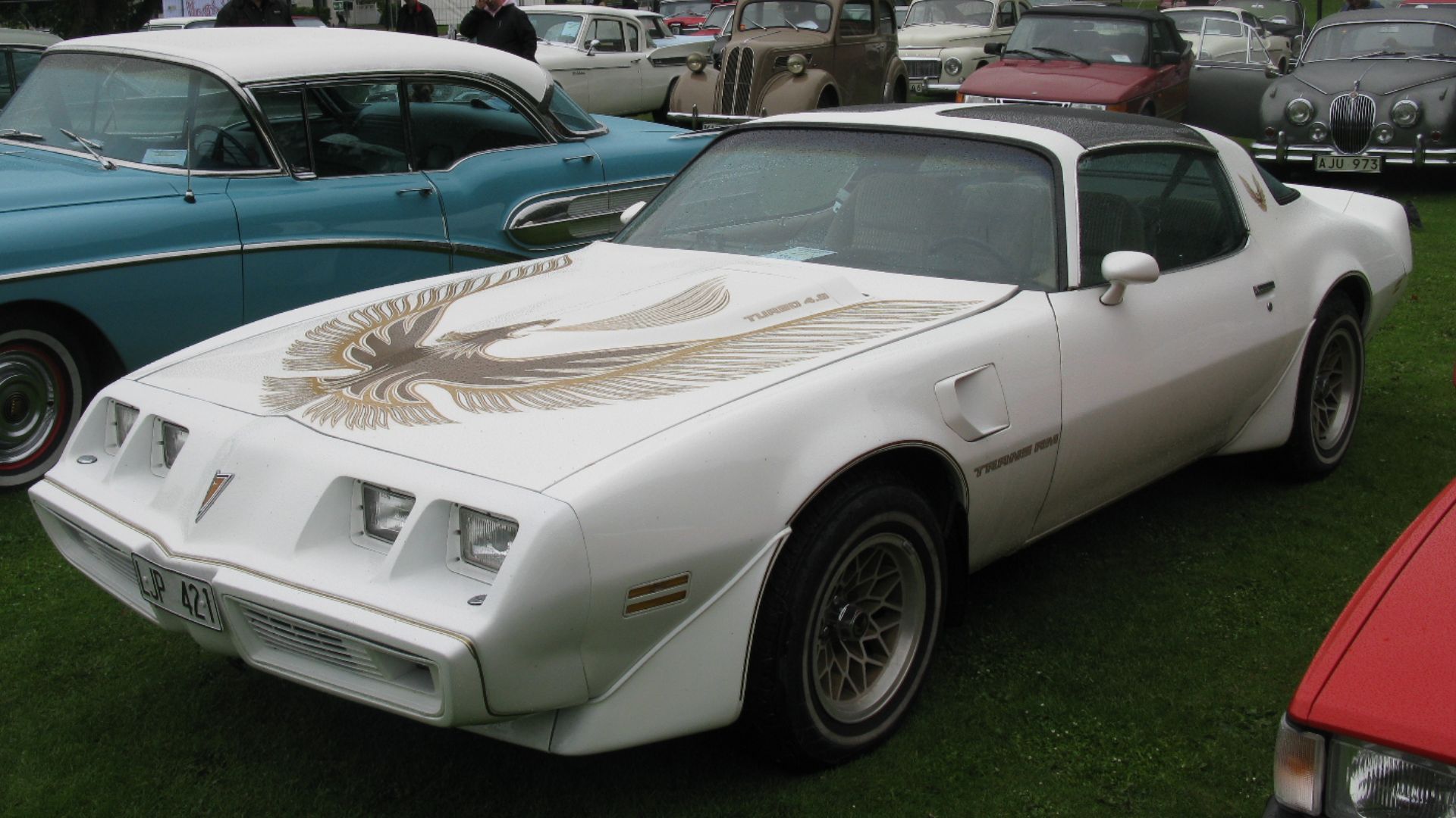 File:Pontiac Firebird Trans Am Turbo 1981 (14485831957).jpg