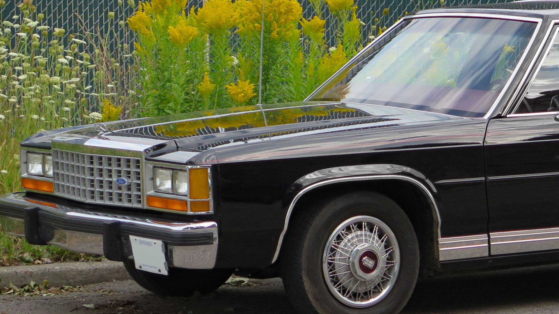 File:1987 Ford LTD Crown Victoria LX in Black, Front Left, 08-19-2023.jpg