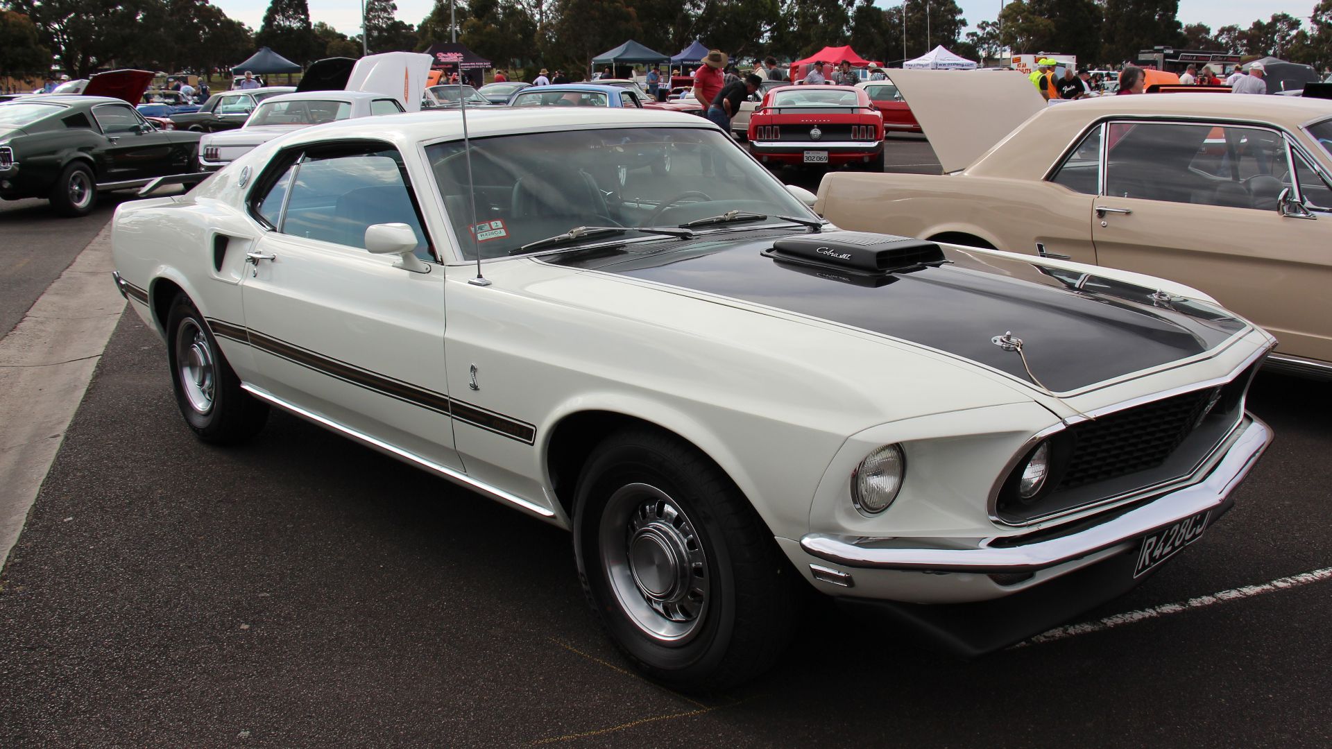 File:1969 Ford Mustang Mach 1 428 Cobra Jet (14969419243).jpg
