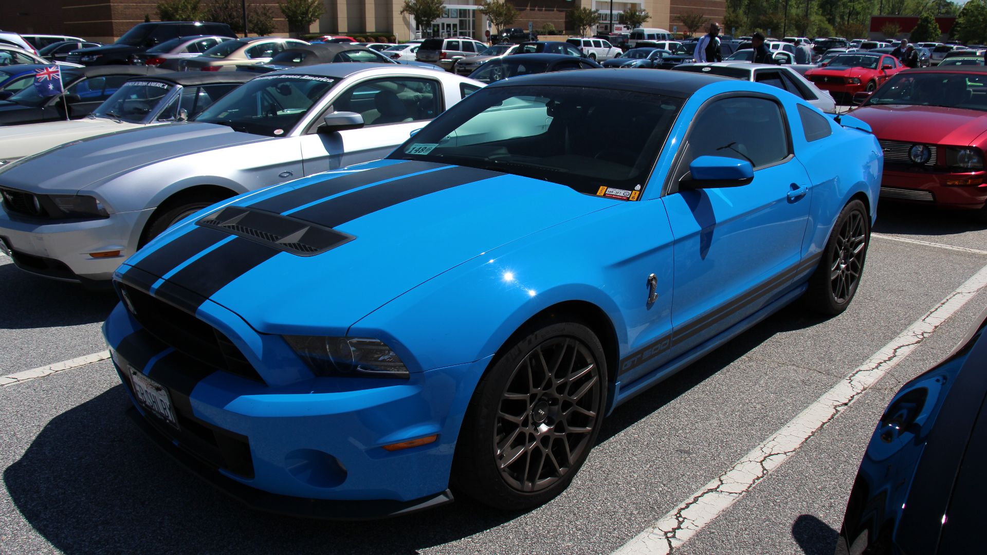 File:2013 Shelby Mustang GT500 (14263240887).jpg