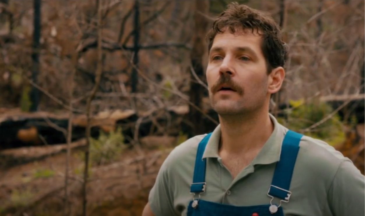  Prince Avalanche (2013)