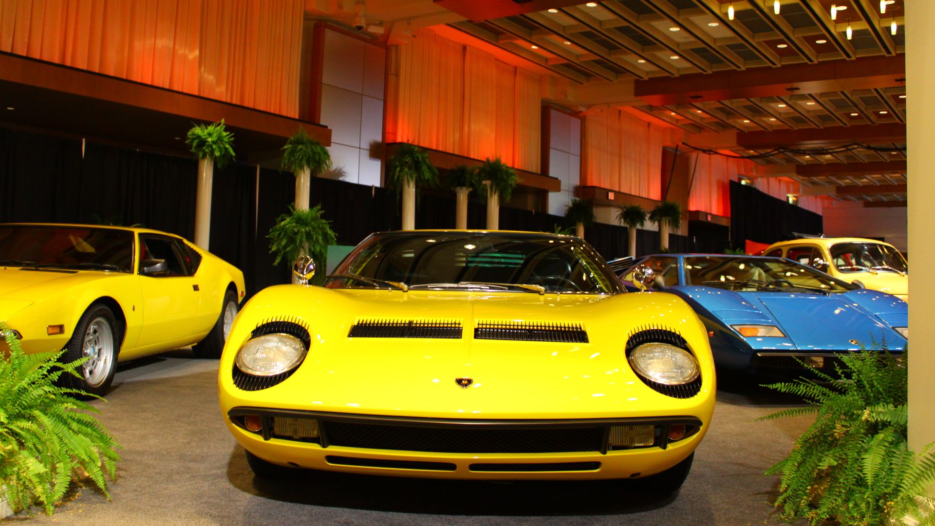 File:Miura and Pals (5483507484).jpg