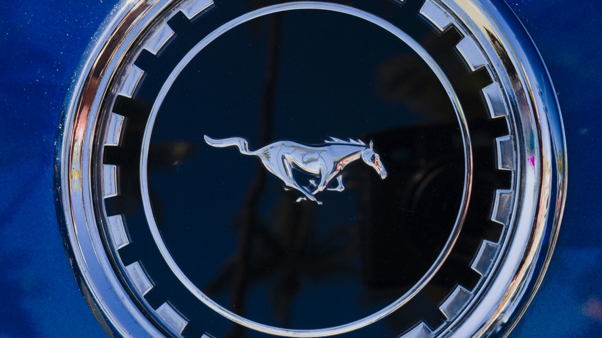 a close up of the emblem on a car