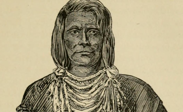 Iroquois chief