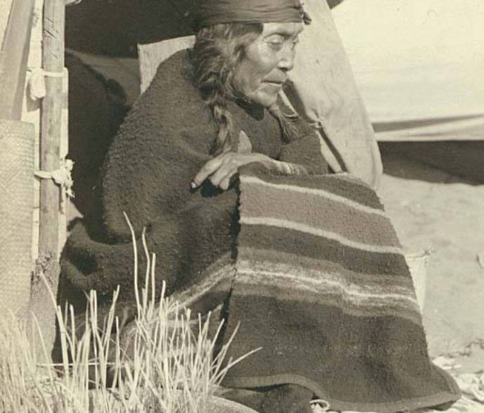 Native Americans Canada Plants