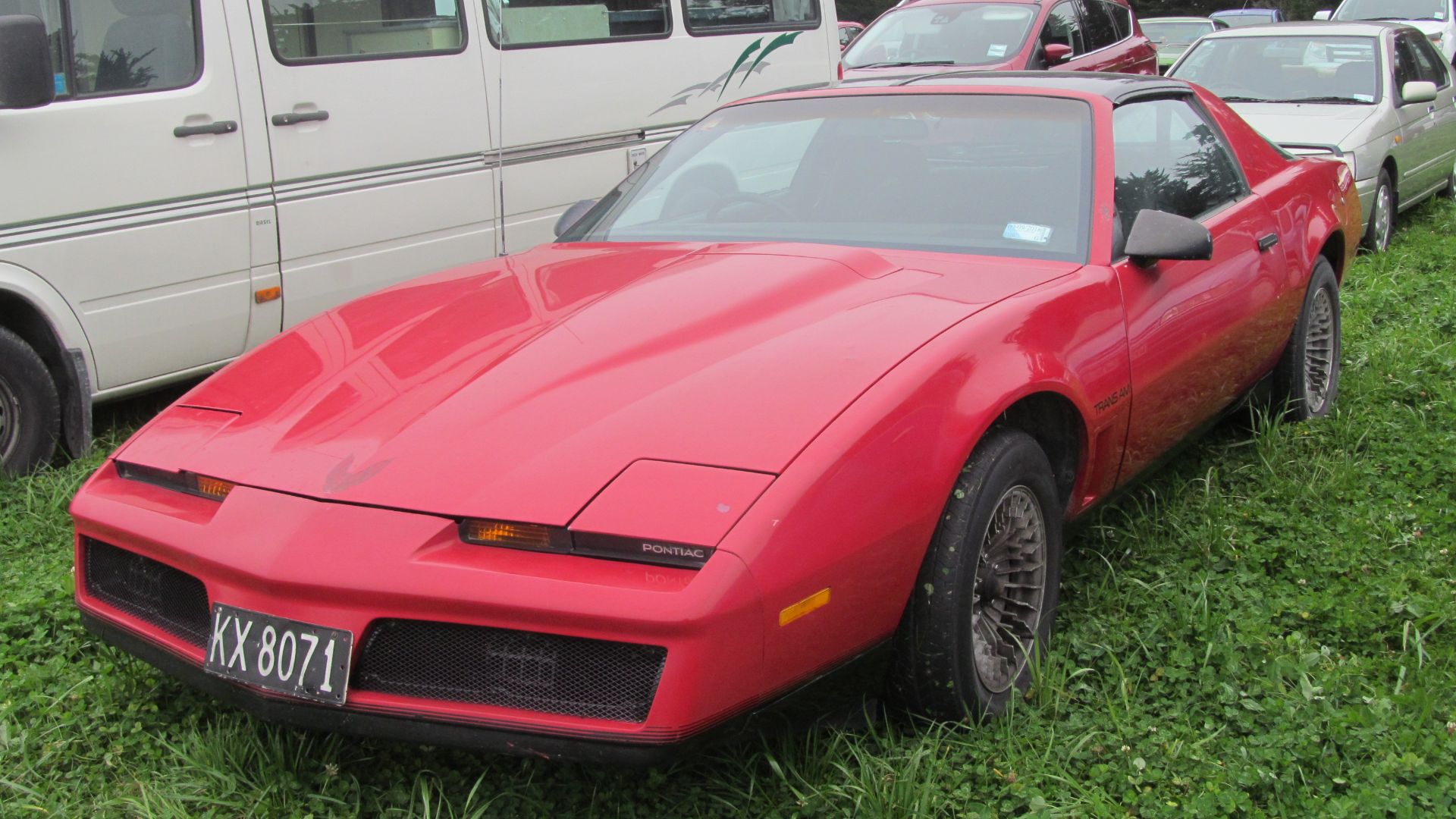 File:1981 Pontiac Firebird Trans Am (42763539761).jpg