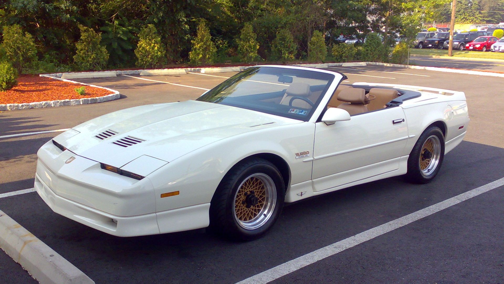 File:20th Anniversary Turbo TransAm Convertible august 2009 9,000 original miles.png