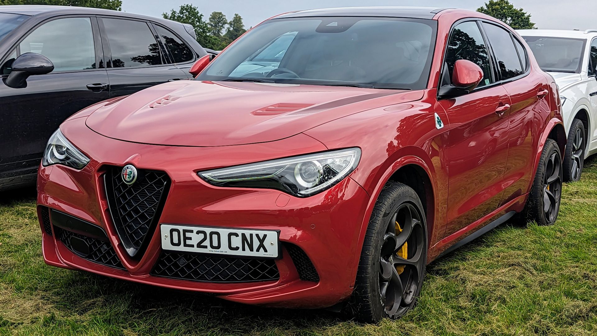 File:2020 Alfa Romeo Stelvio Quadrifoglio Verde AWD Auto.jpg