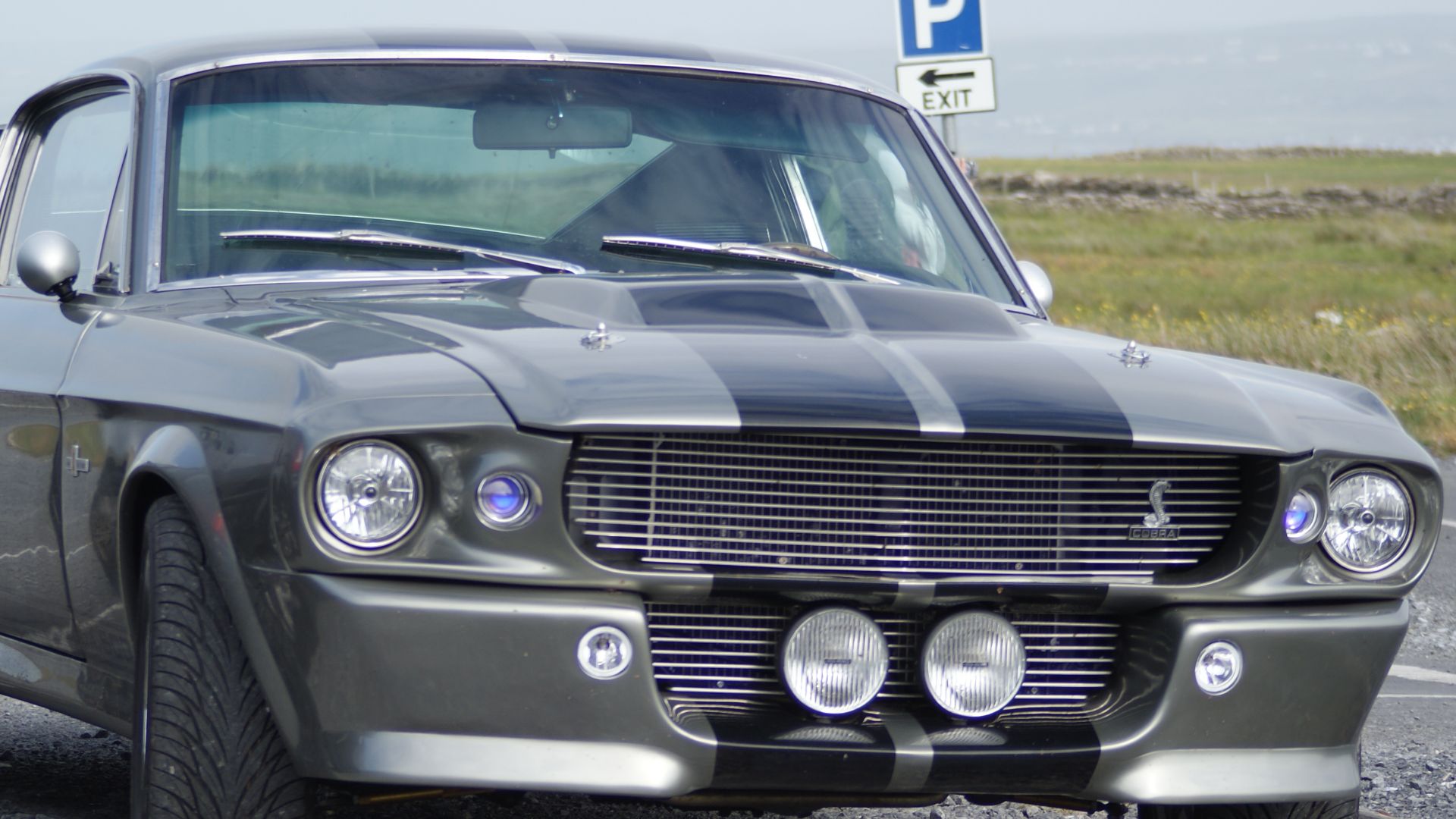 File:Shelby Mustang GT500