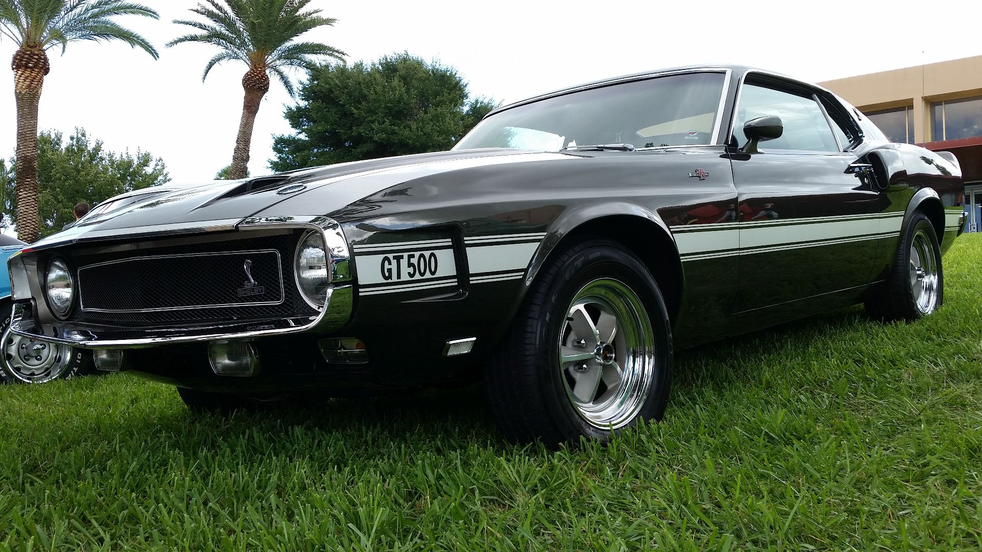 File:1969 Ford Mustang Shelby GT500.jpg