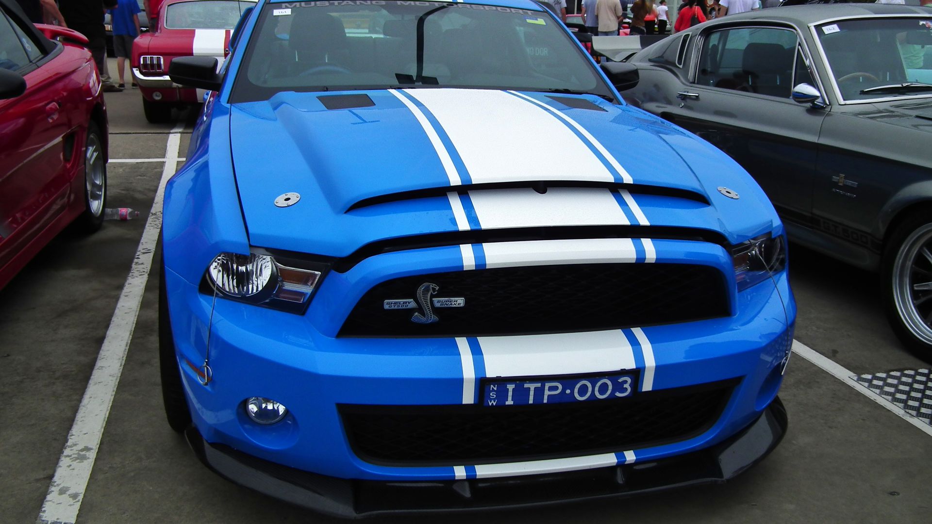 File:2012 Ford Mustang Shelby GT 500 Super Snake coupe (8453119256).jpg