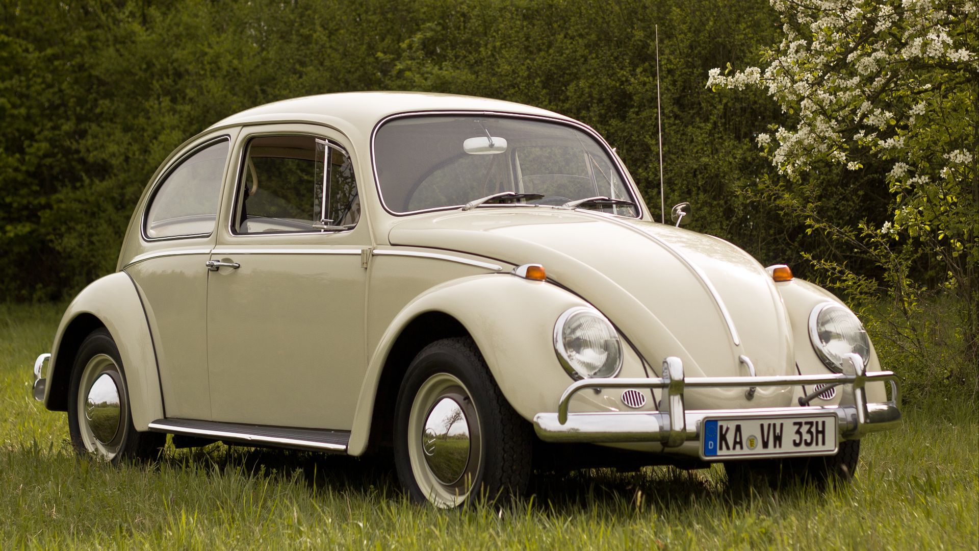 File:VW Käfer Baujahr 1966.jpg