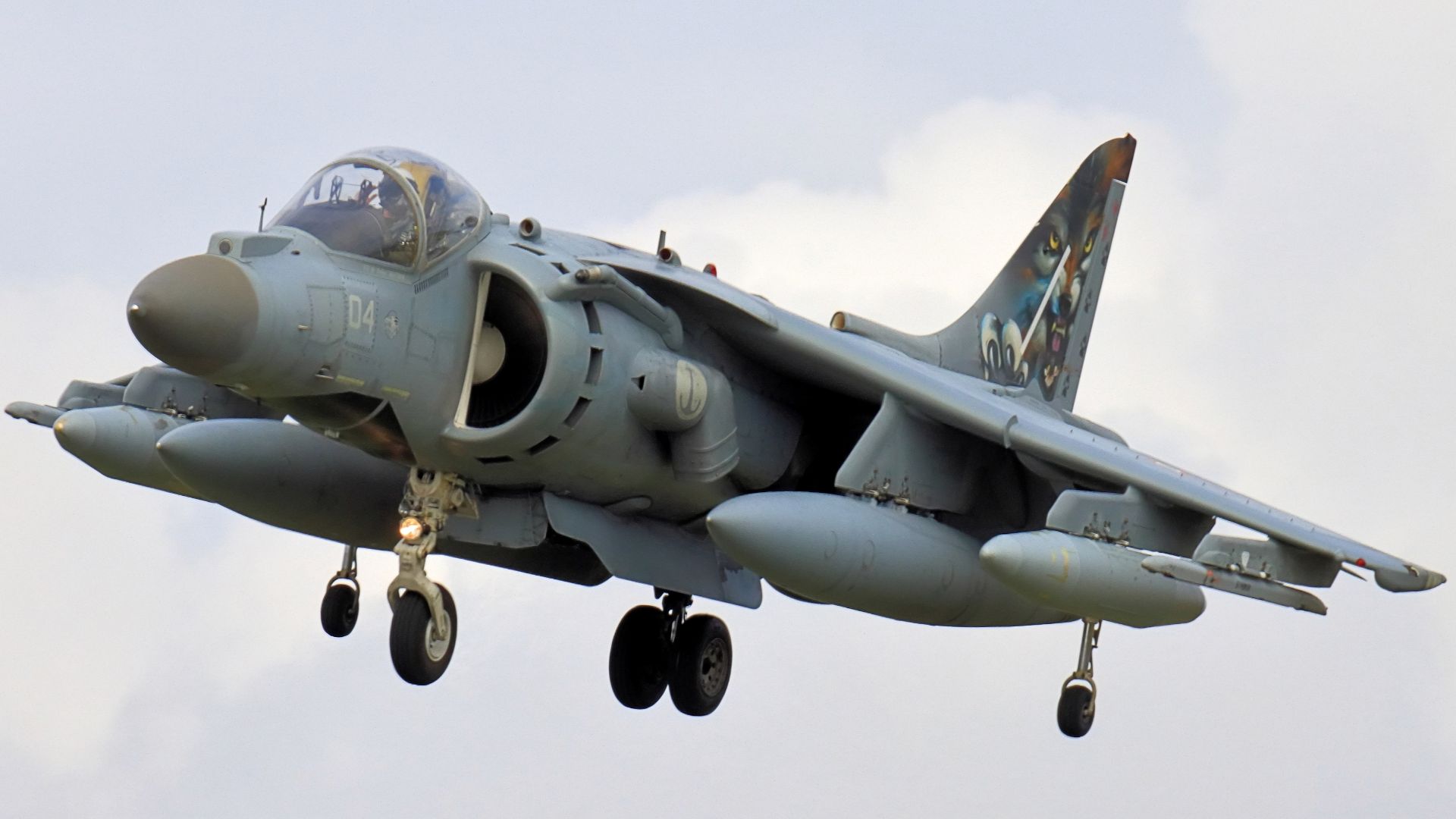 File:AV-8B Harrier II (53081039861).jpg