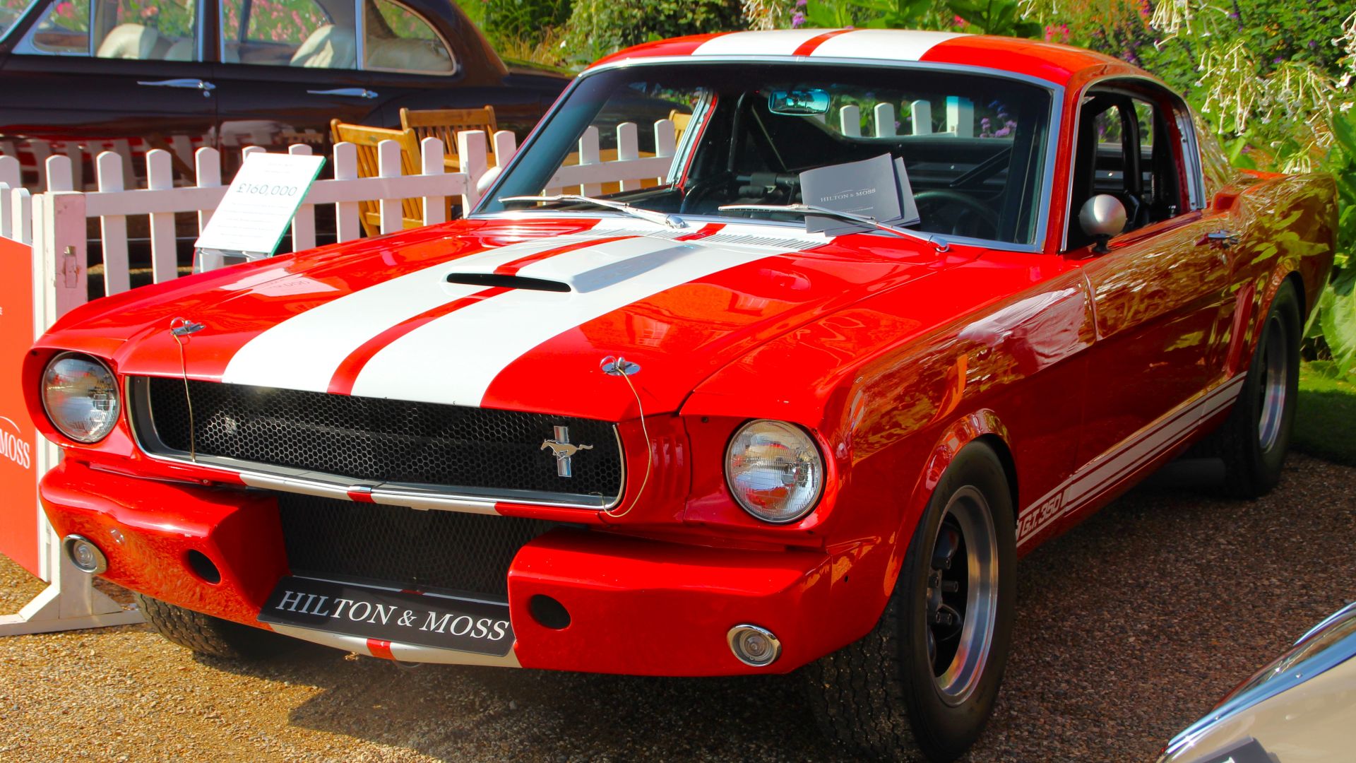 File:1966 Ford Mustang Shelby GT350 HCC22.jpg