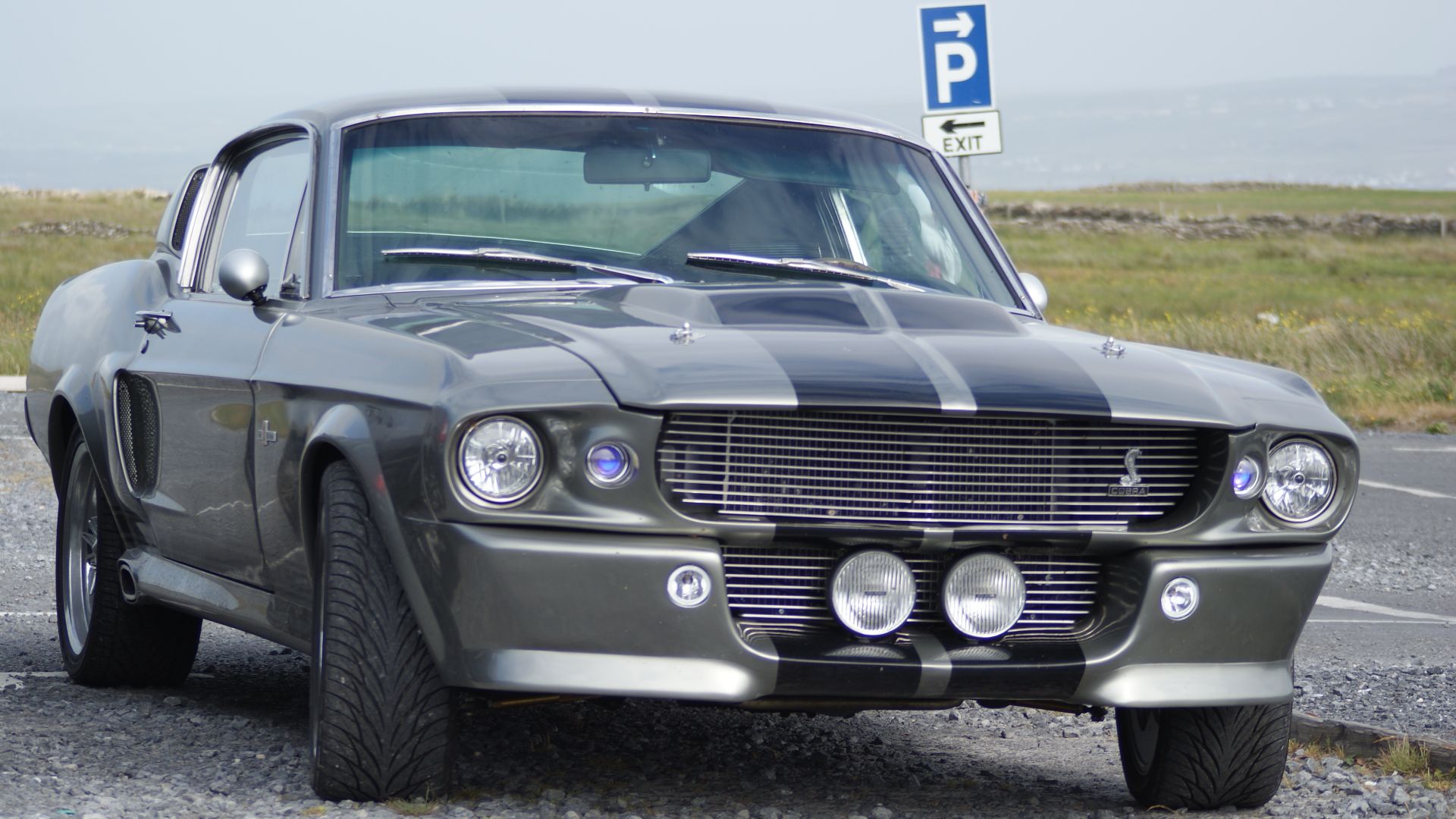 File:Shelby Mustang GT500