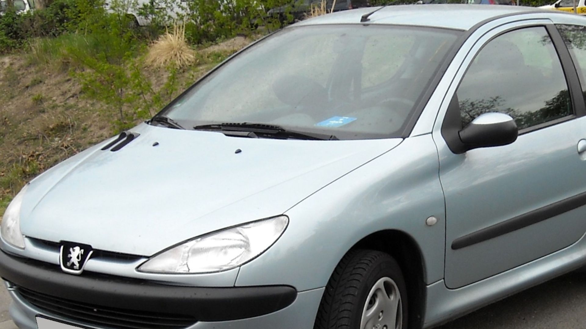File:Peugeot 206 front 20090416.jpg