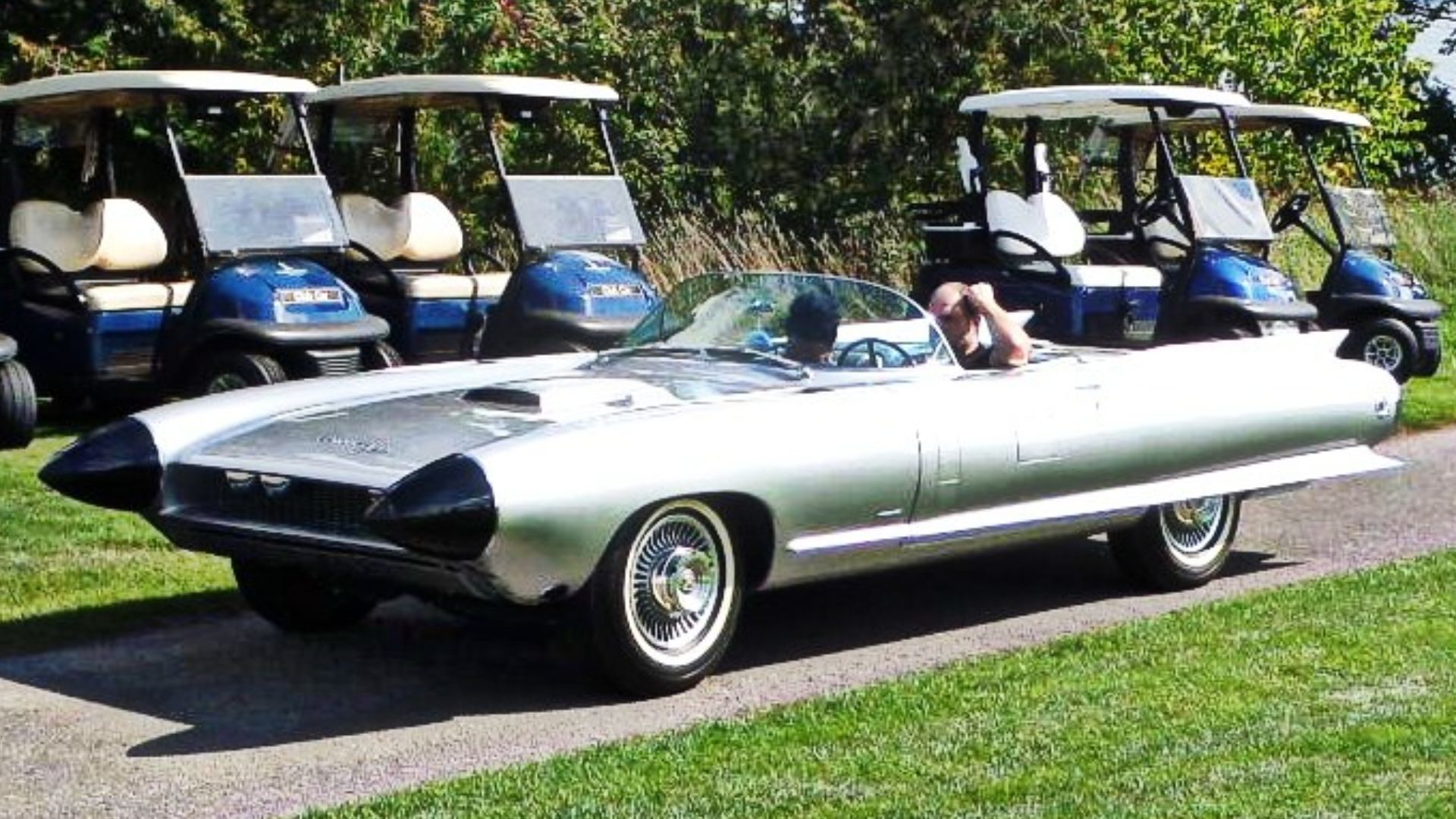 File:SAM 3617 (29158212384).jpg