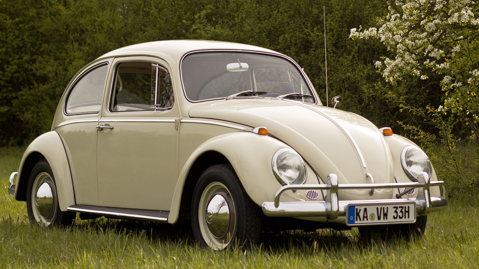 File:VW Käfer Baujahr 1966.jpg