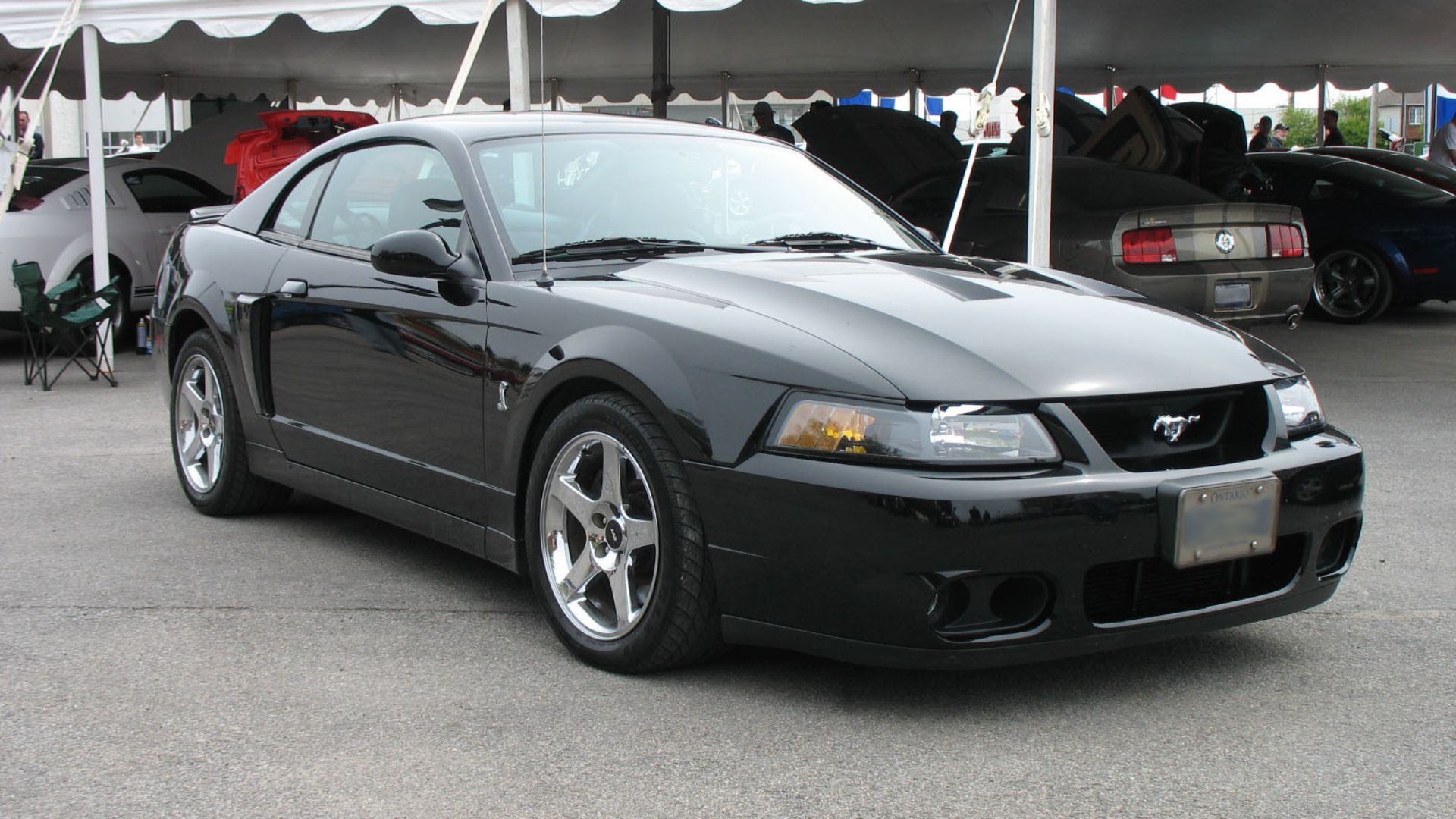 File:Black 2003-2004 Ford Mustang IV SVT Cobra.jpg