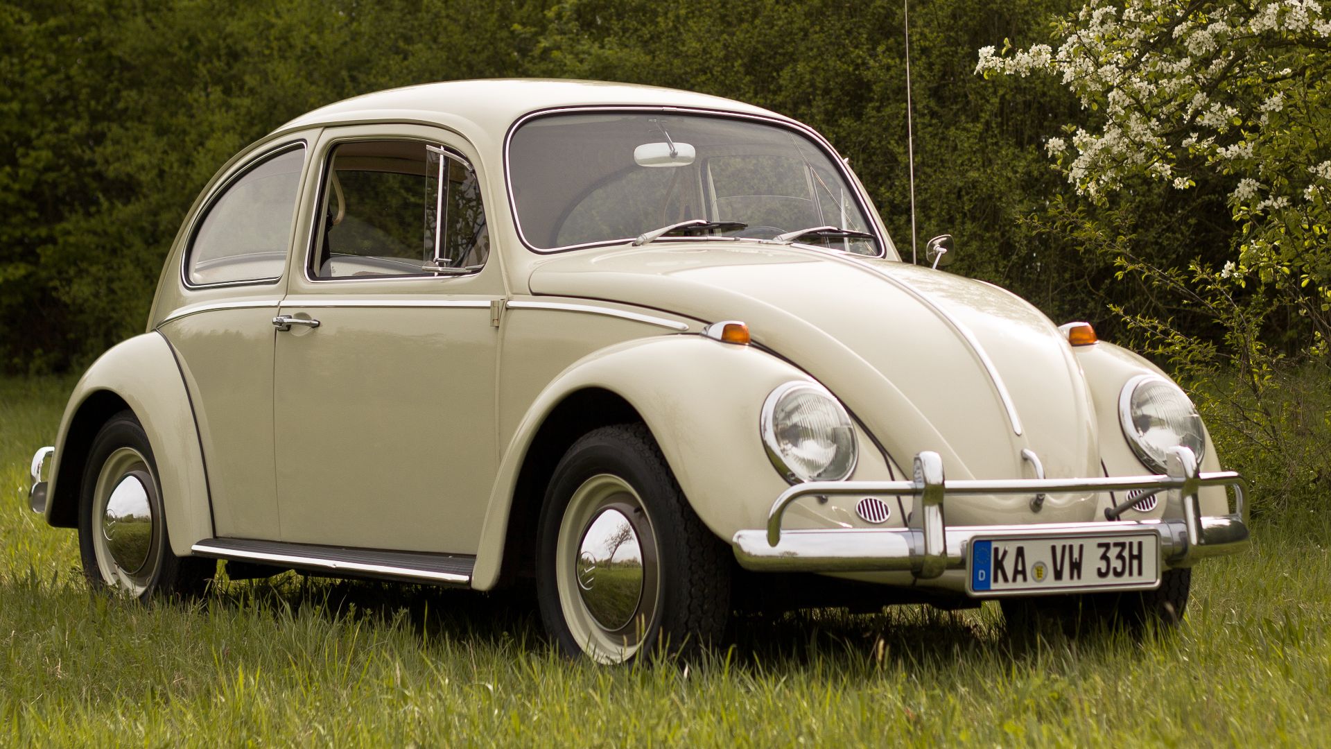 File:VW Käfer Baujahr 1966.jpg