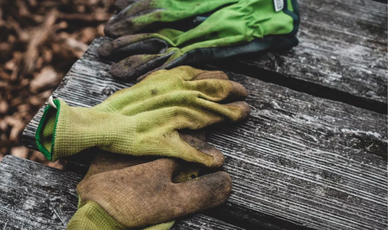 Garden Gloves With Cracked Palms