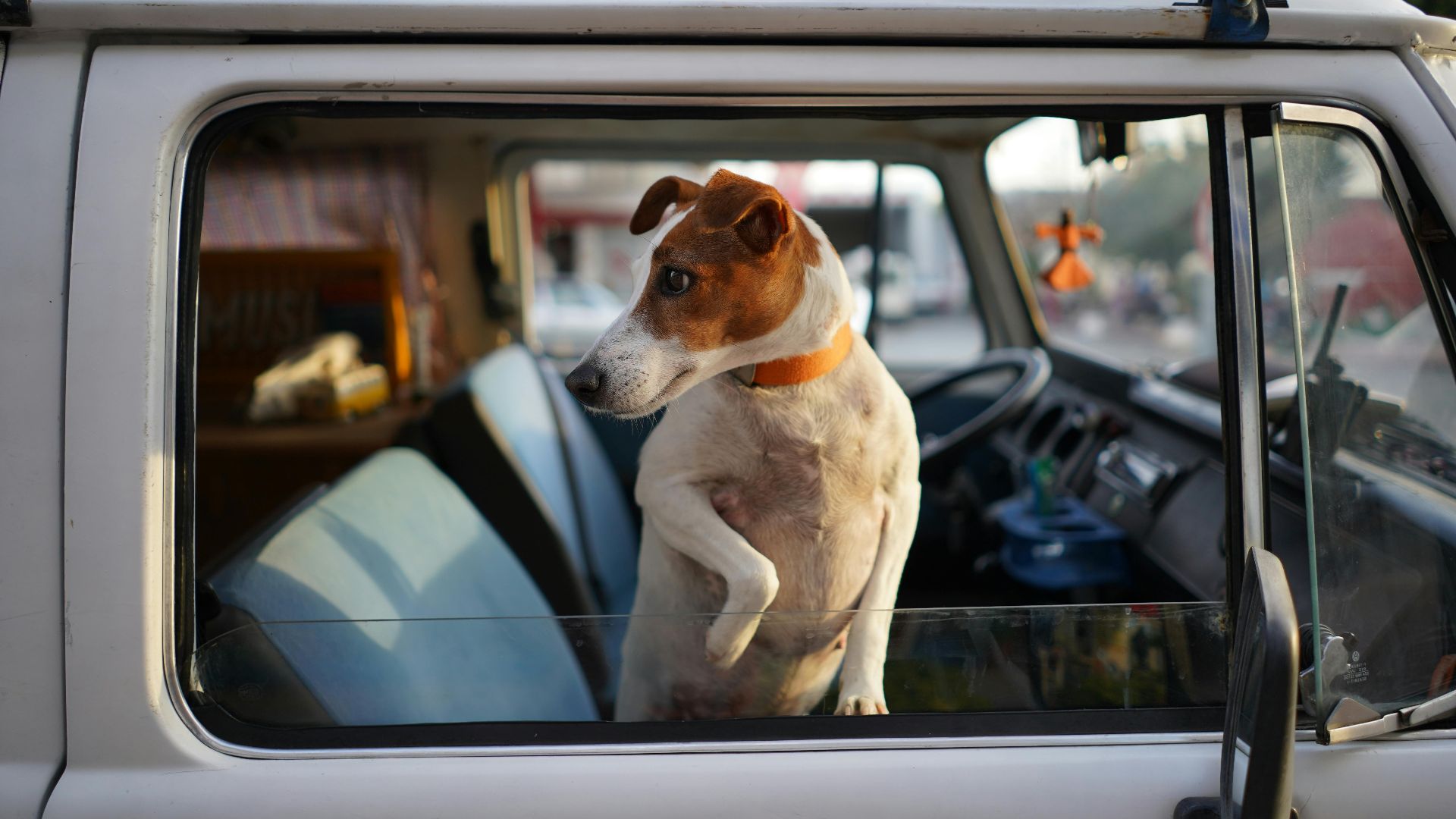 Ă–zgĂĽr SĂĽrmeli