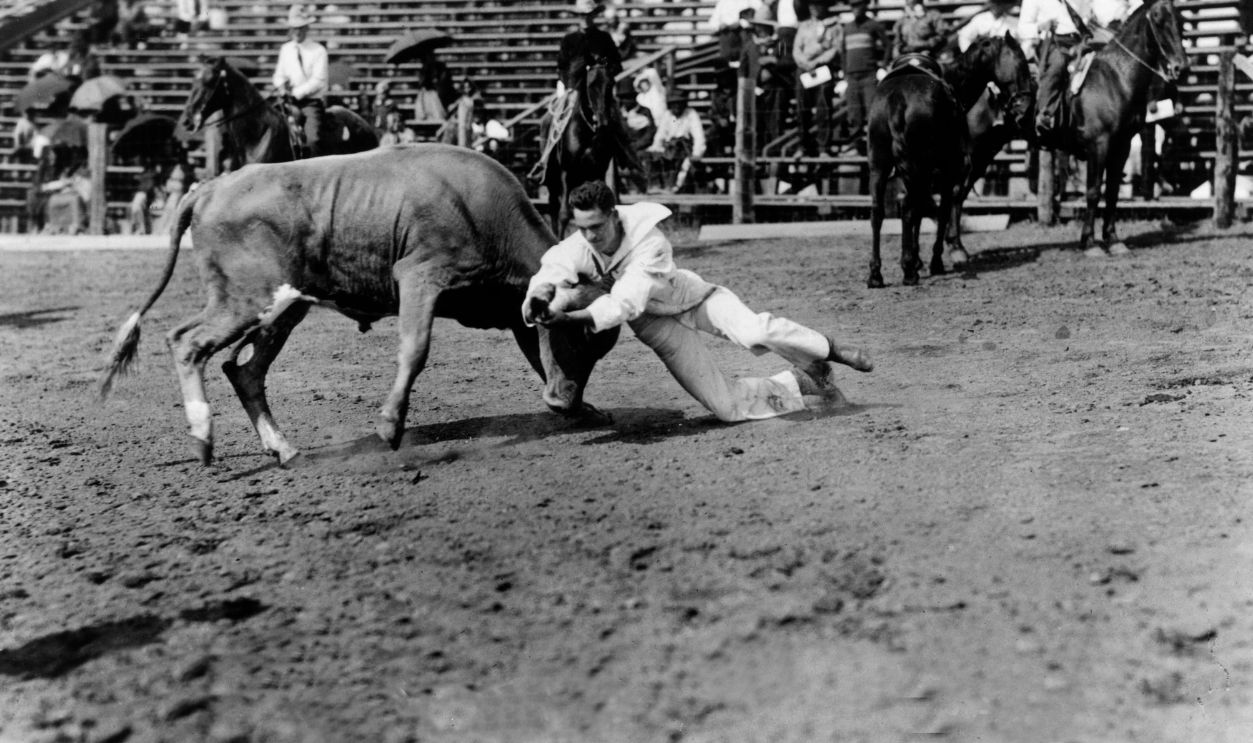 Gettyimages - 3224219, Bulldogging At Rodeo circa 1912: Full-length image of rodeo performer Yakima Canutt wrestling a steer ('bulldogging') during the Pendleton Round-Up, Pendleton, Oregon. Other riders stand in front of the bleachers.