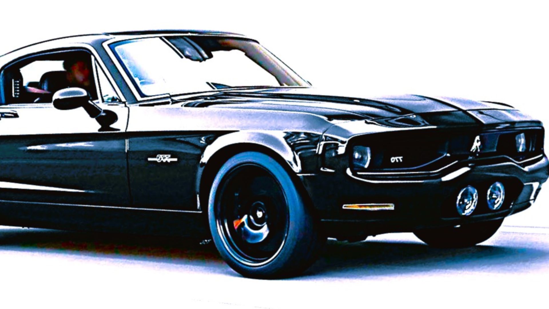 File:EQUUS BASS 770.jpg