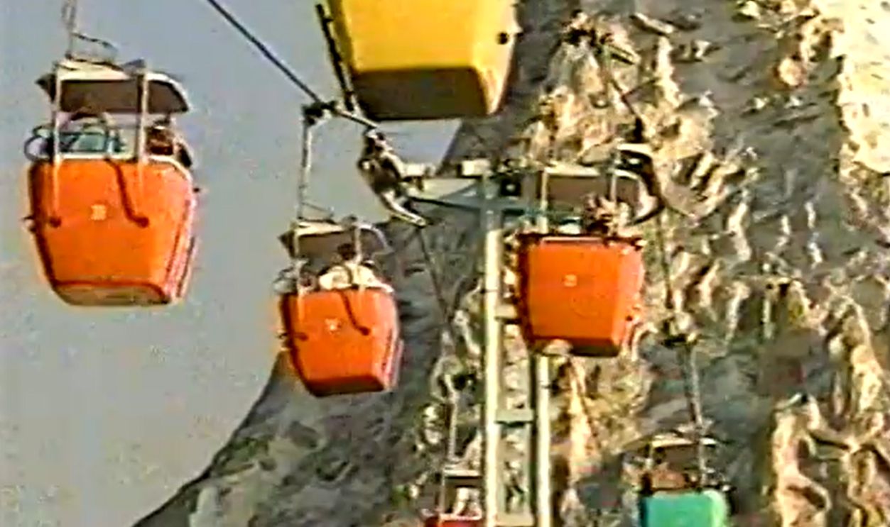 A Tree, A Lawsuit, And A Lucky Landing