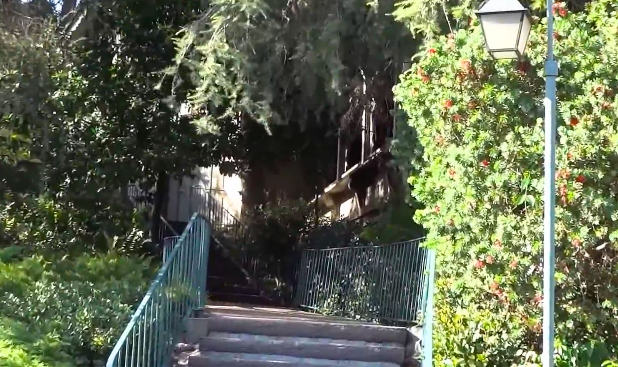 What Stayed Hidden Behind The Trees