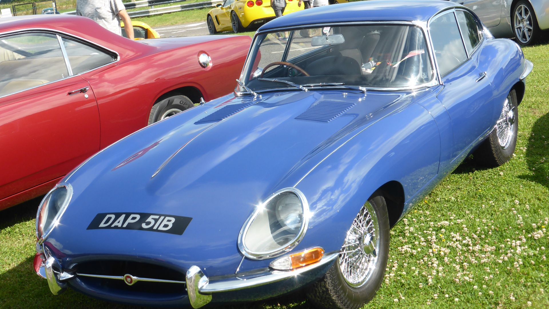 File:Jaguar E-type FHC (1964) (35390411964).jpg