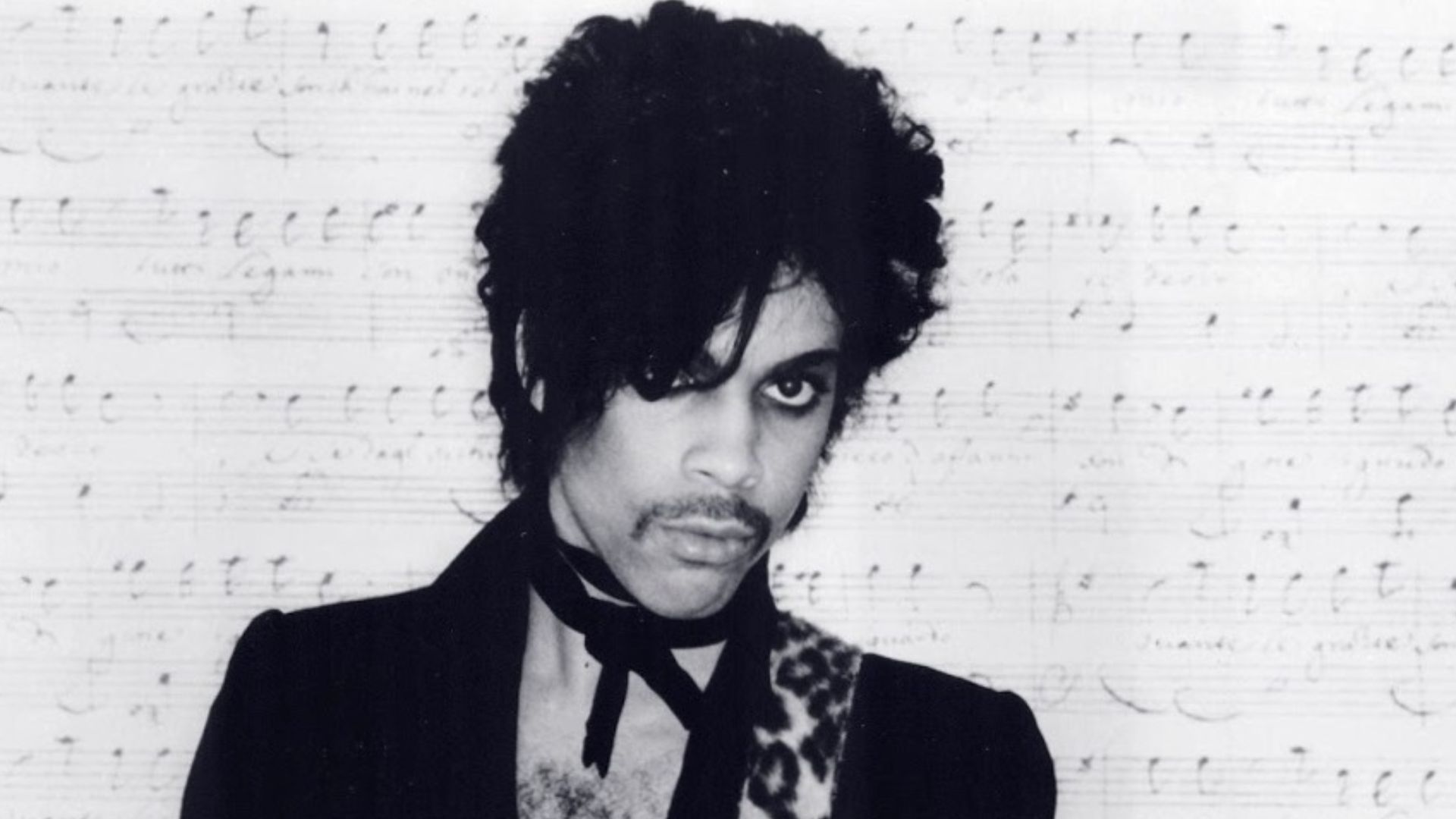 File:Prince 1981.jpg