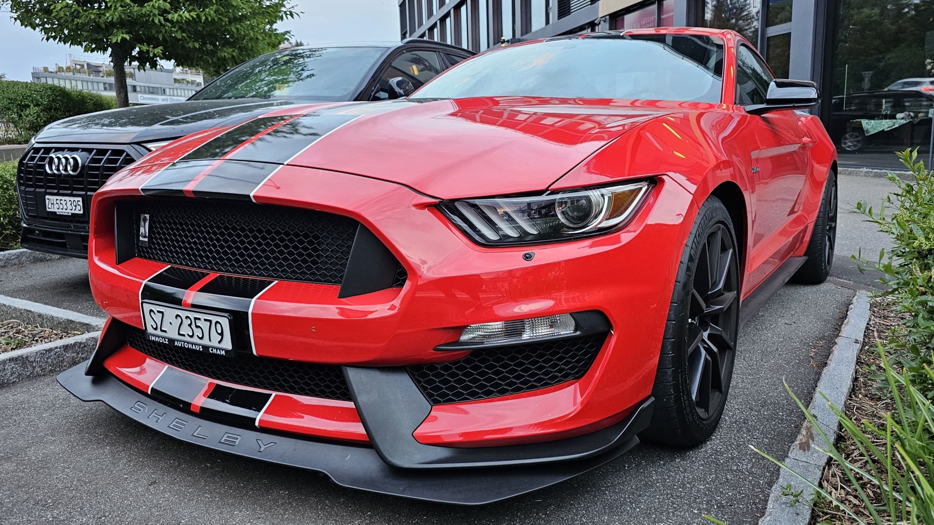 File:Shelby Mustang GT350 S550 Race Red (2).jpg