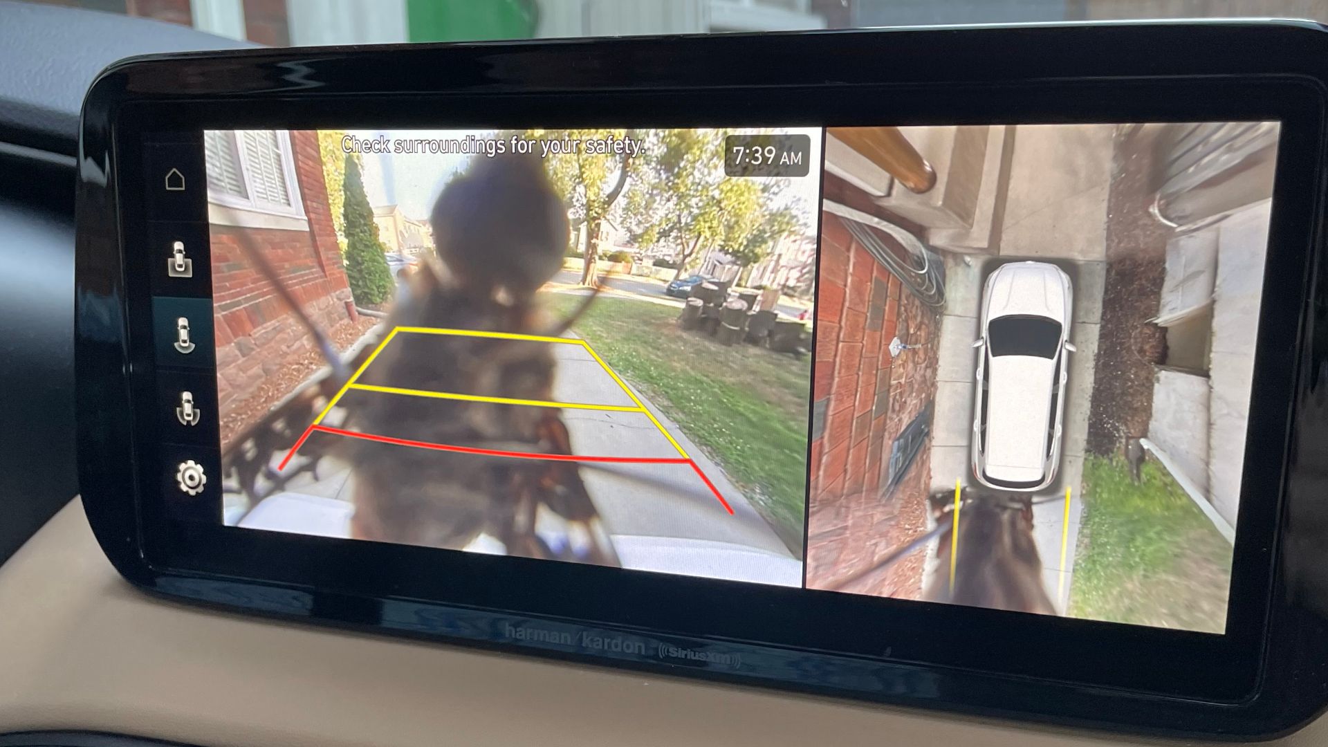 File:Insect on a backup camera.jpg