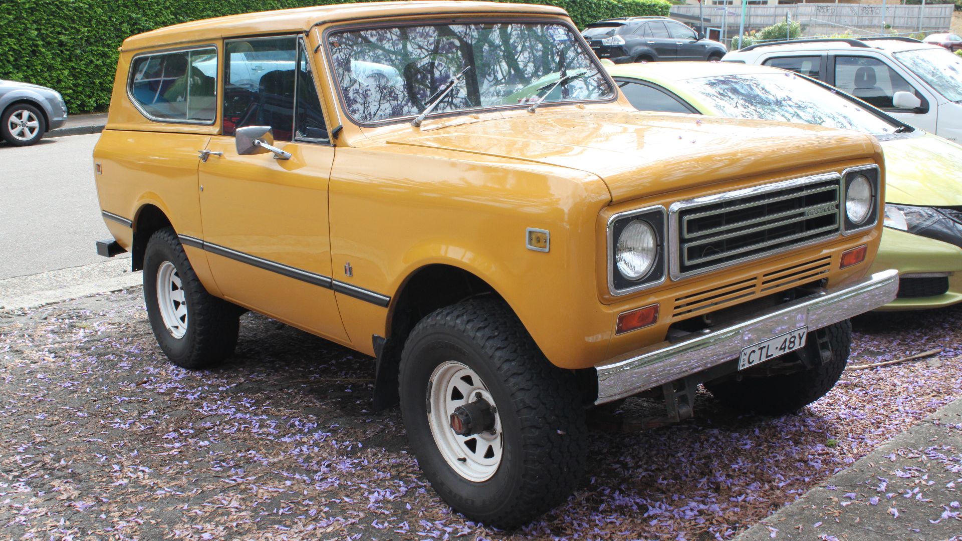 File:1978 International Harvester Scout II wagon (23176143526).jpg