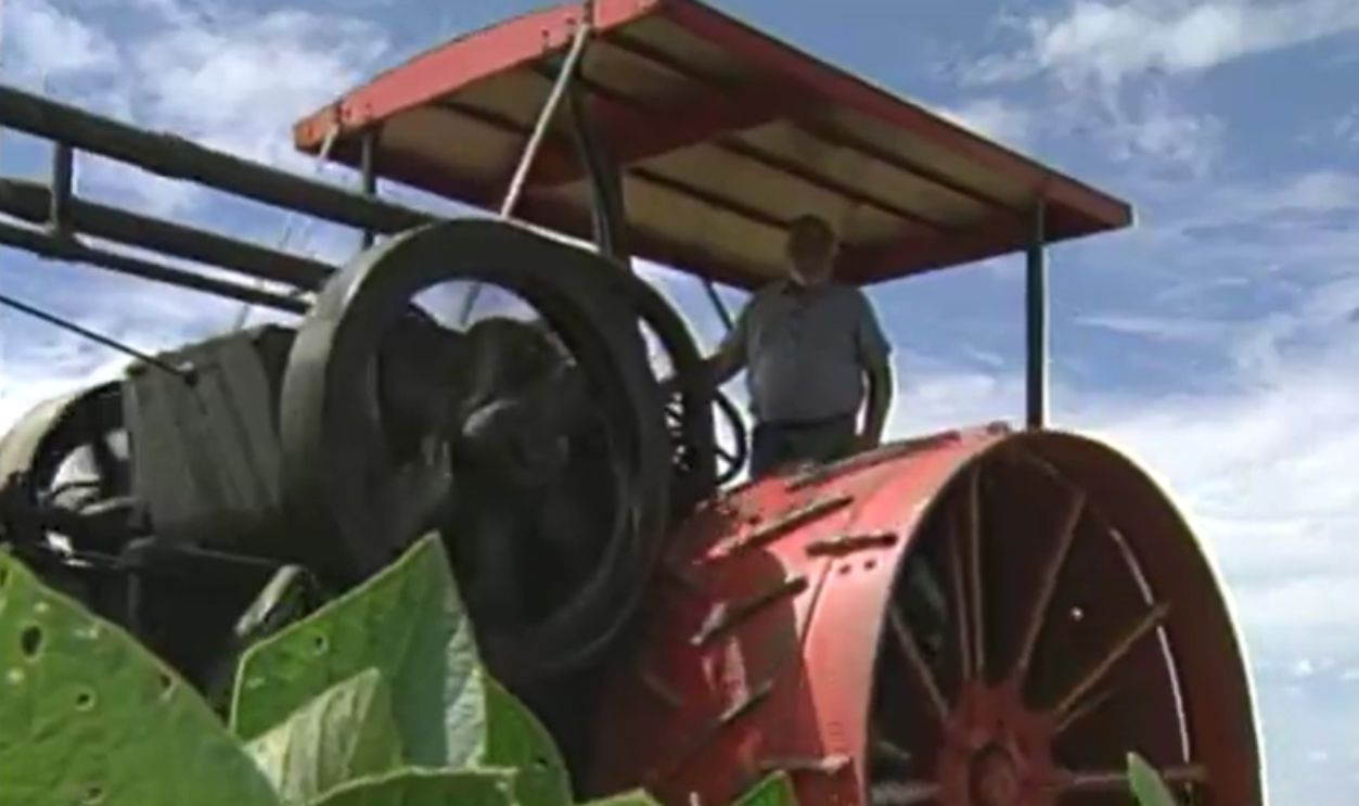 Untitled Design (17)