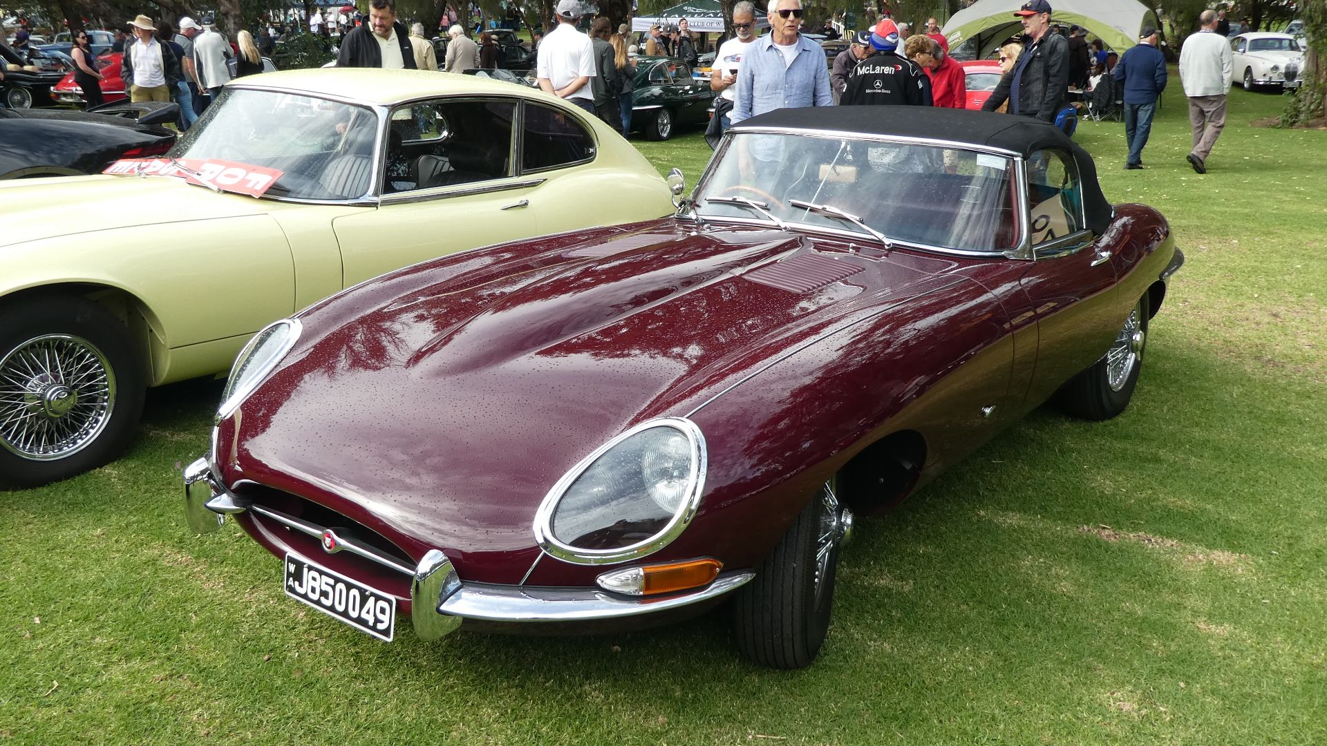 File:1961 Jaguar E-Type Roadster Series 1 J850049 @ Granville Park,Gingin.jpg