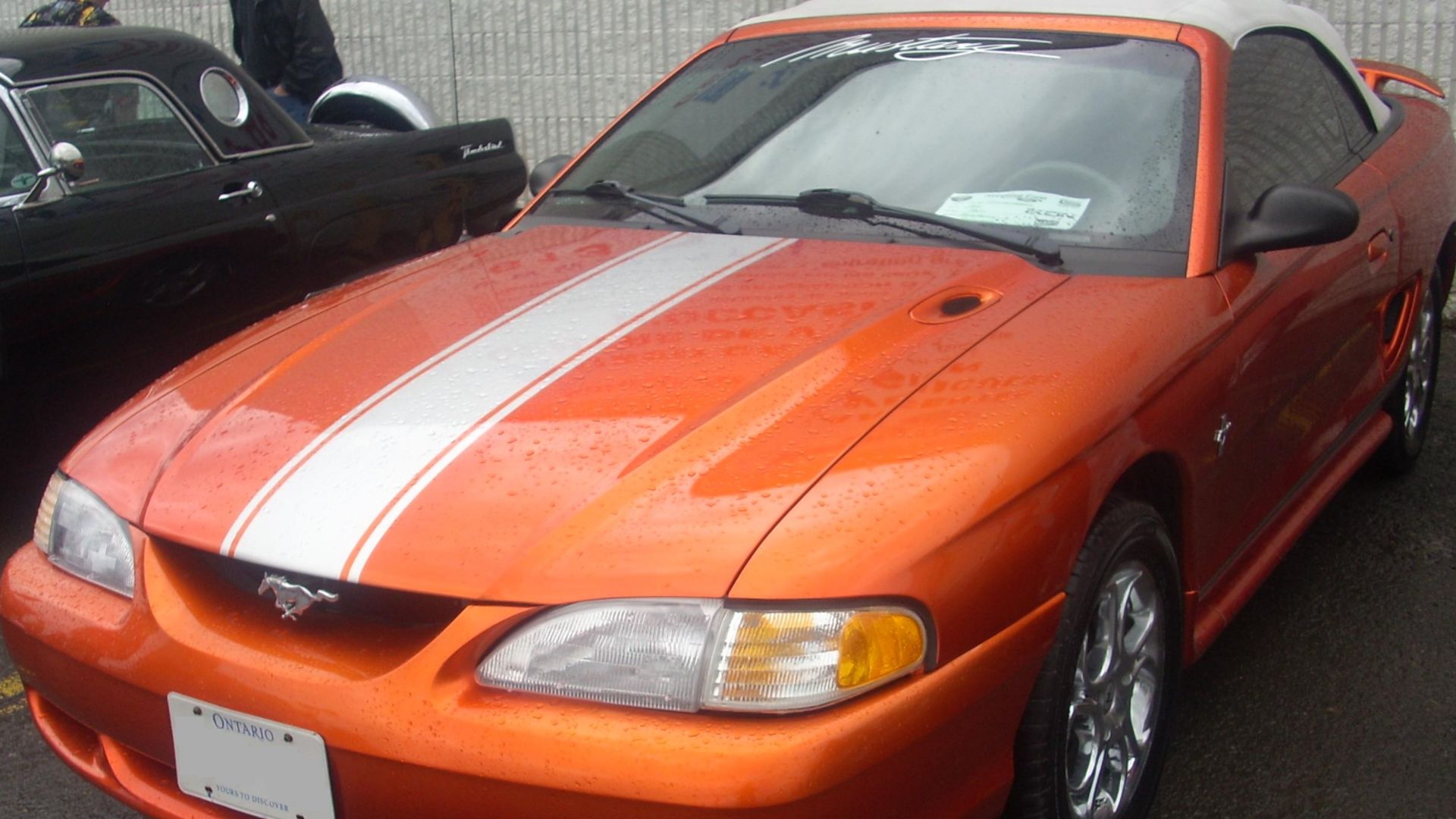 File:Ford Mustang SN-95 Pony Convertible (Sterling Ford).jpg
