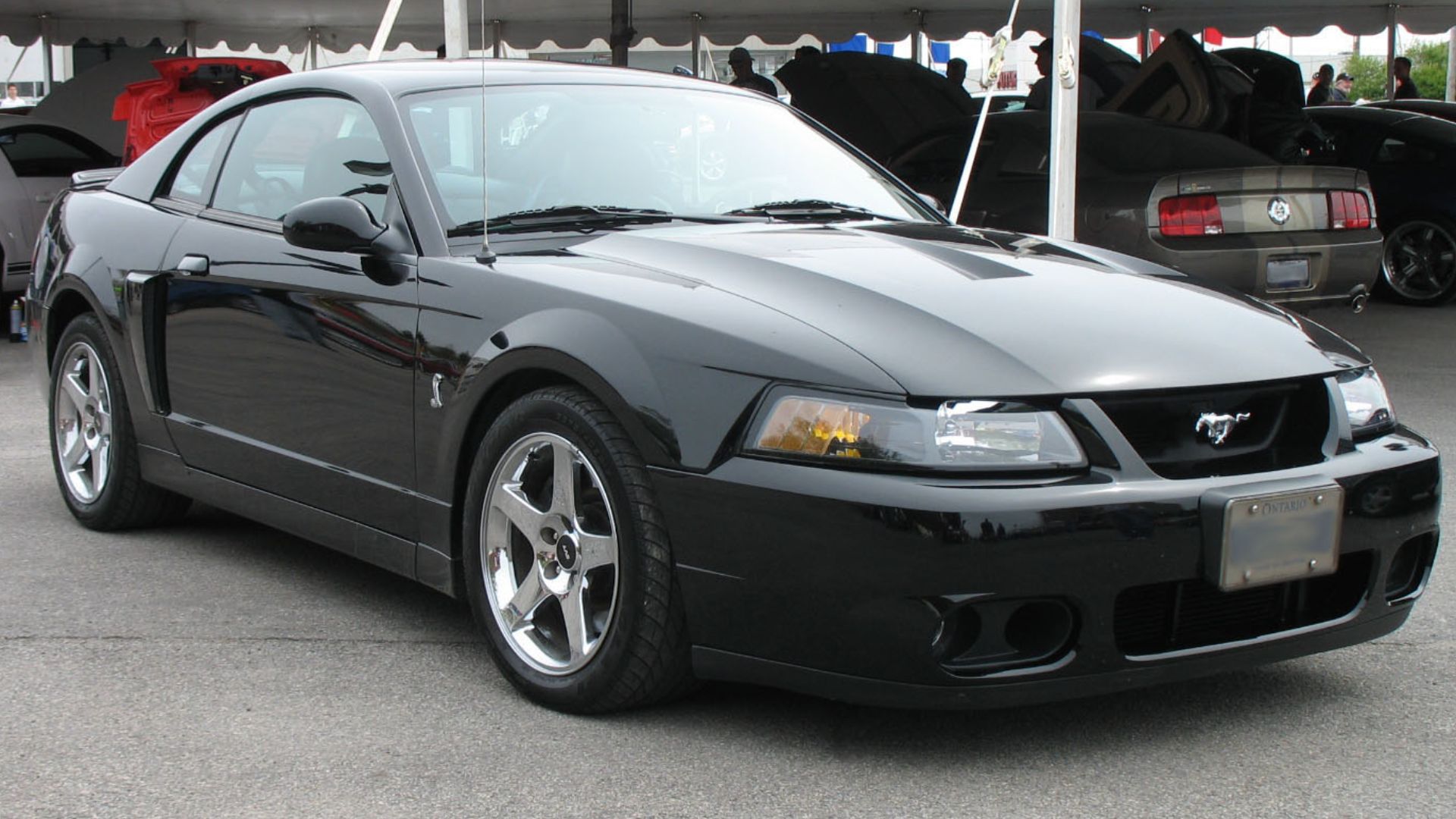 File:Black 2003-2004 Ford Mustang IV SVT Cobra.jpg