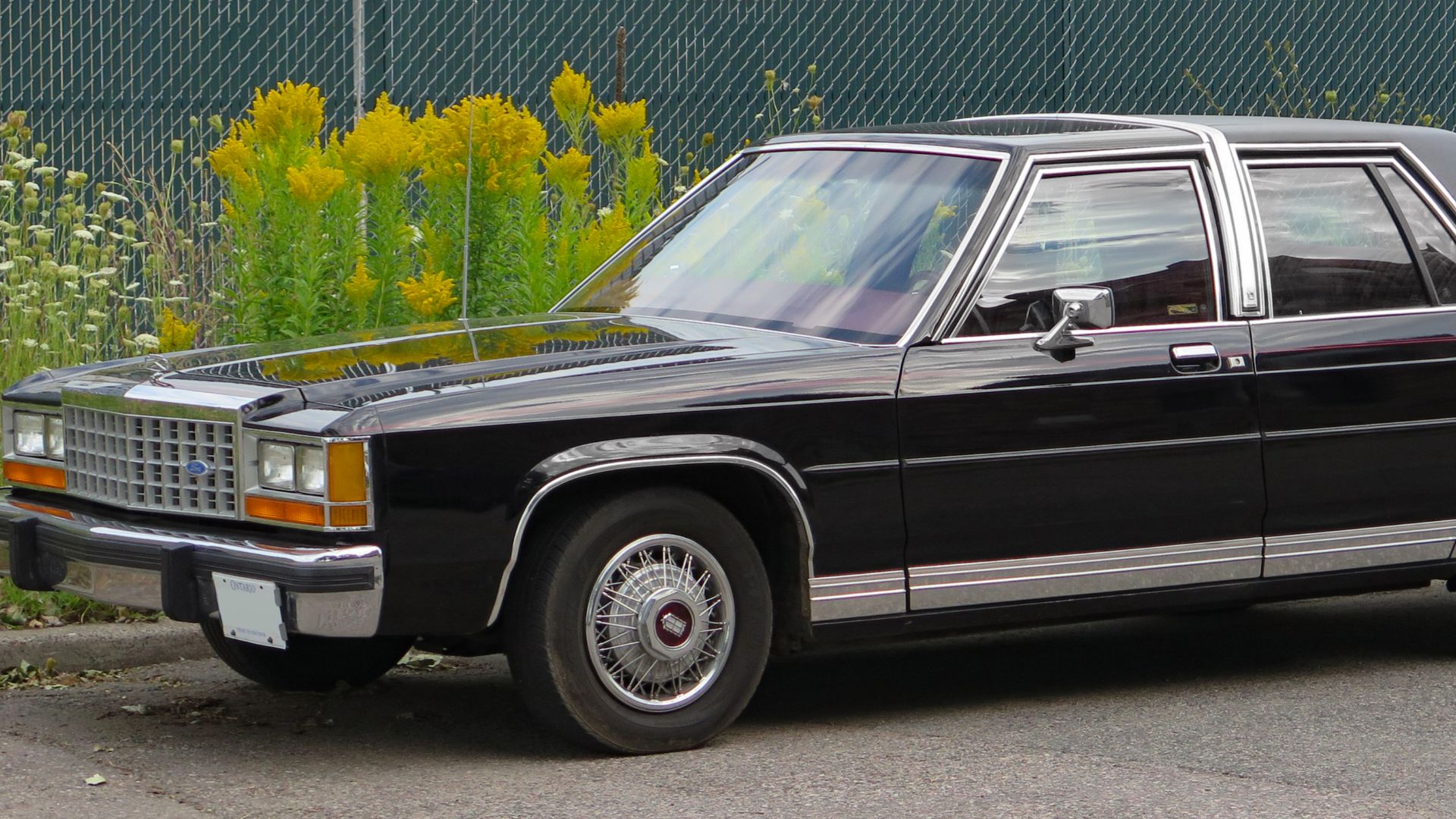 File:1987 Ford LTD Crown Victoria LX in Black, Front Left, 08-19-2023.jpg