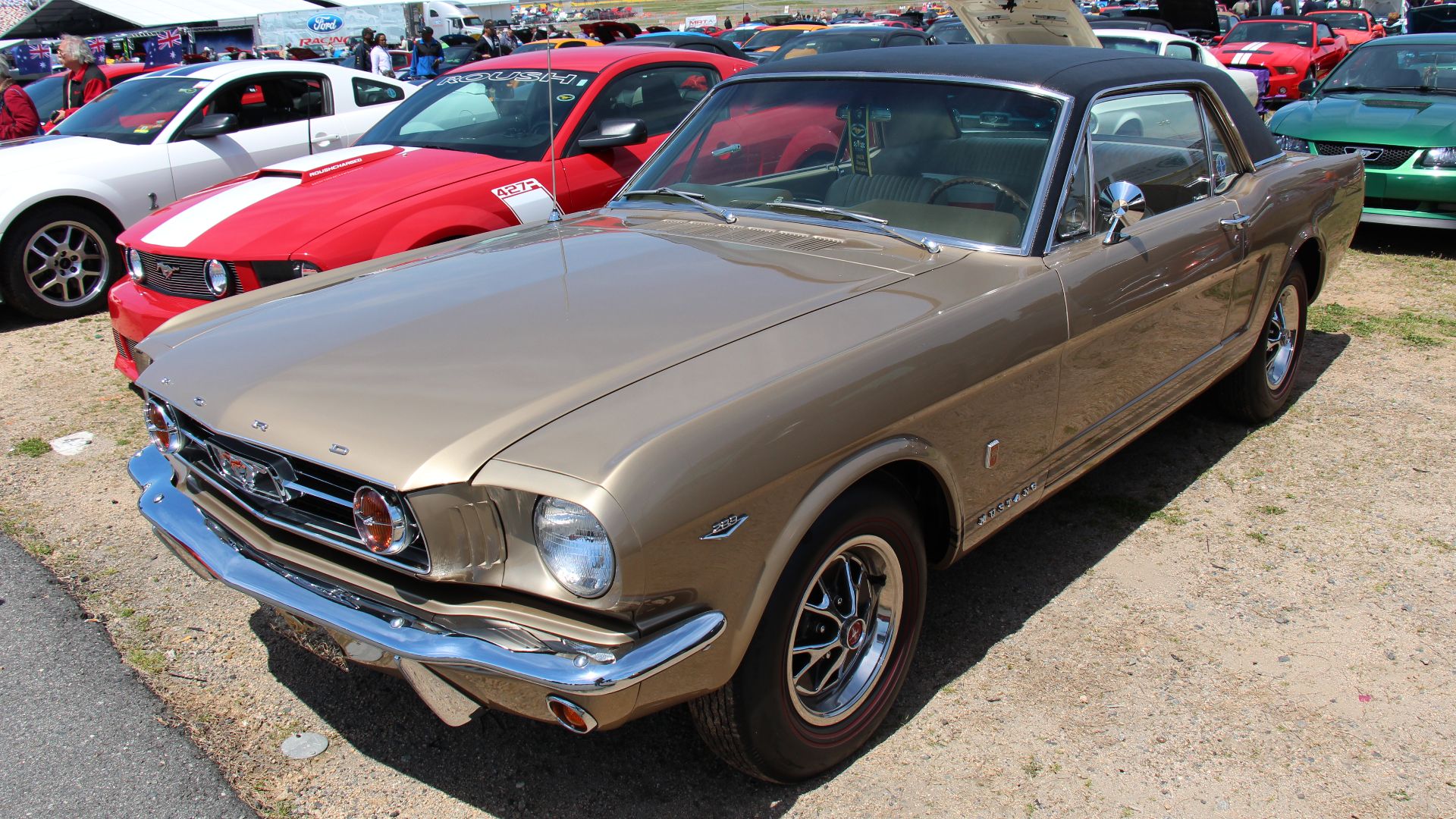 File:1965 Ford Mustang GT Hardtop (14381786033).jpg