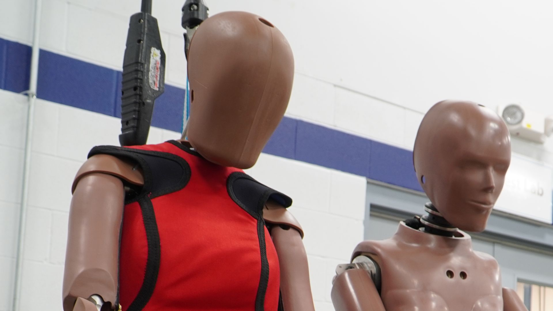 File:Hybrid-III 5th next to THOR-5F Crash Test Dummy.jpg