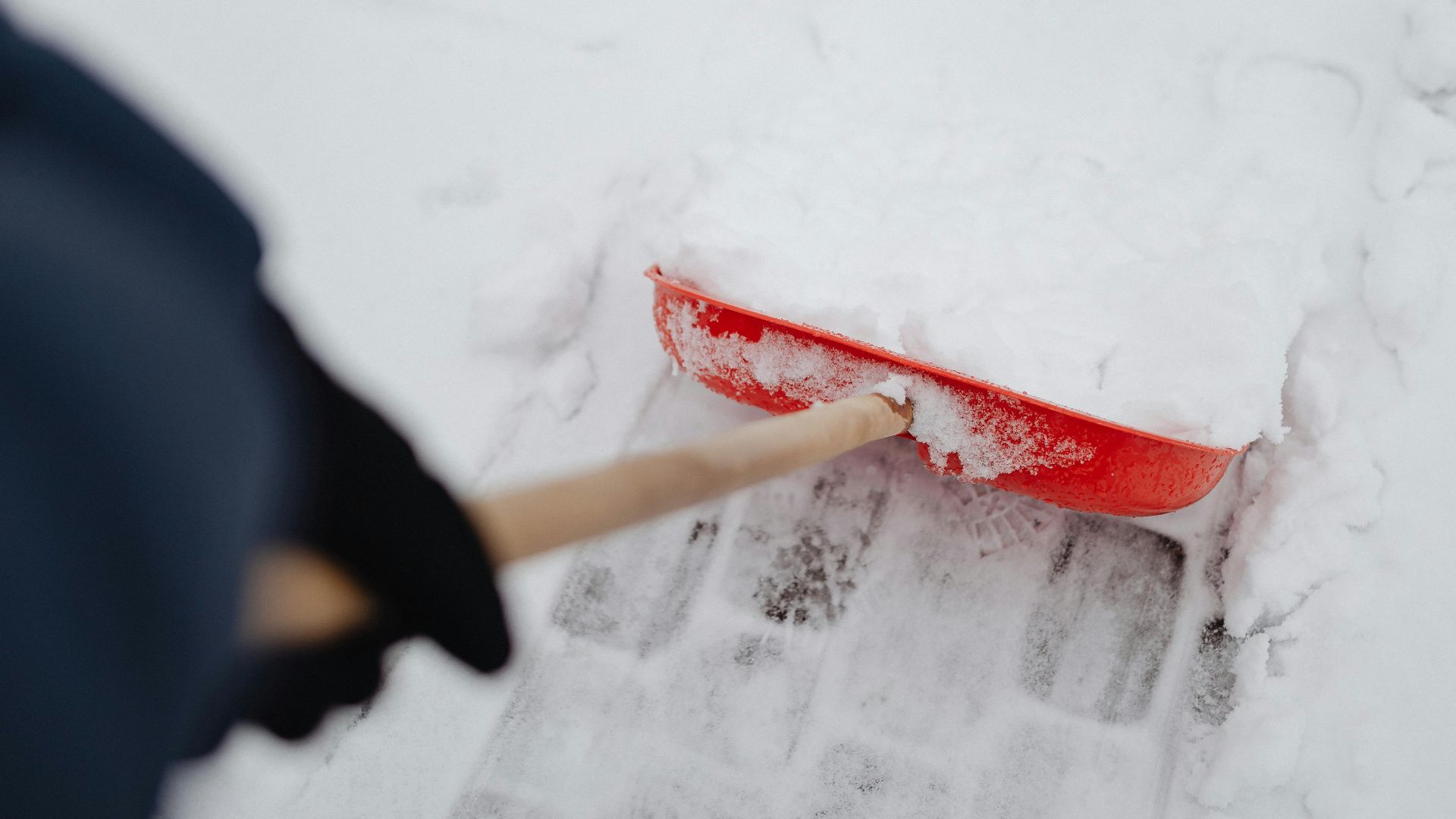 Photo By: Kaboompics.com