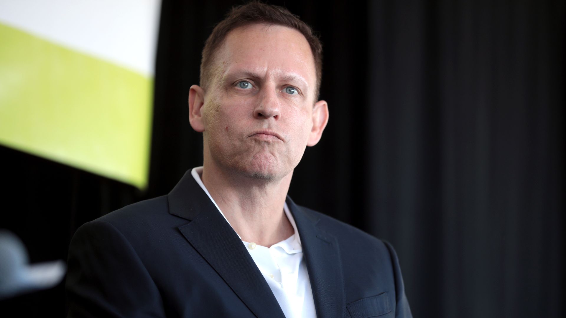 File:Peter Thiel (51876933345).jpg