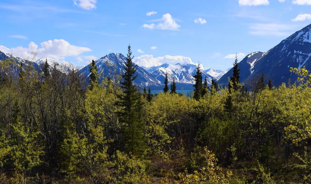 Kluane Scenic Drive, Yukon
