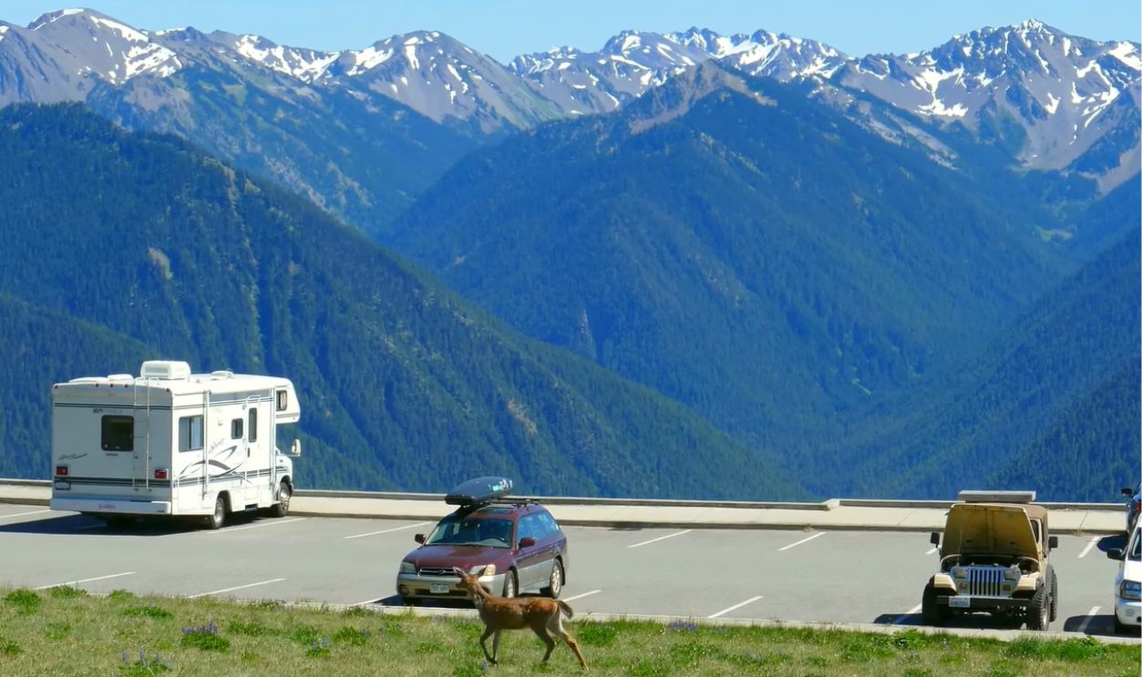The Olympic Peninsula Loop, Washington