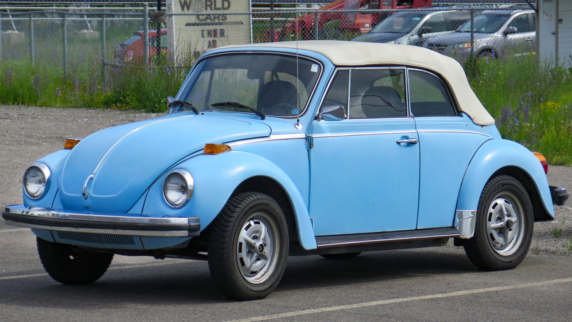 File:1979 Volkswagen Beetle Convertible in Florida Blue, front left, 2024-06-30.jpg