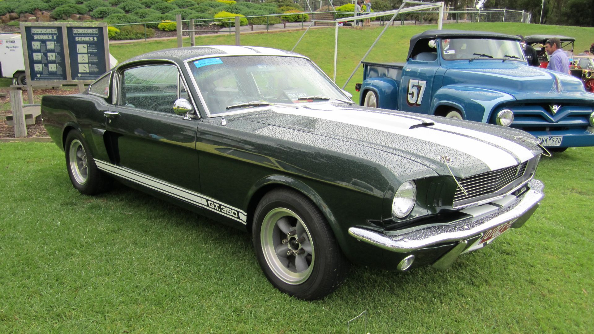 File:Shelby Mustang GT350 1966.jpg