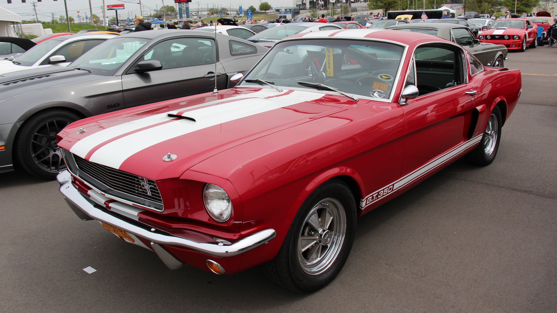 File:1966 Shelby Mustang GT350 (14630737103).jpg