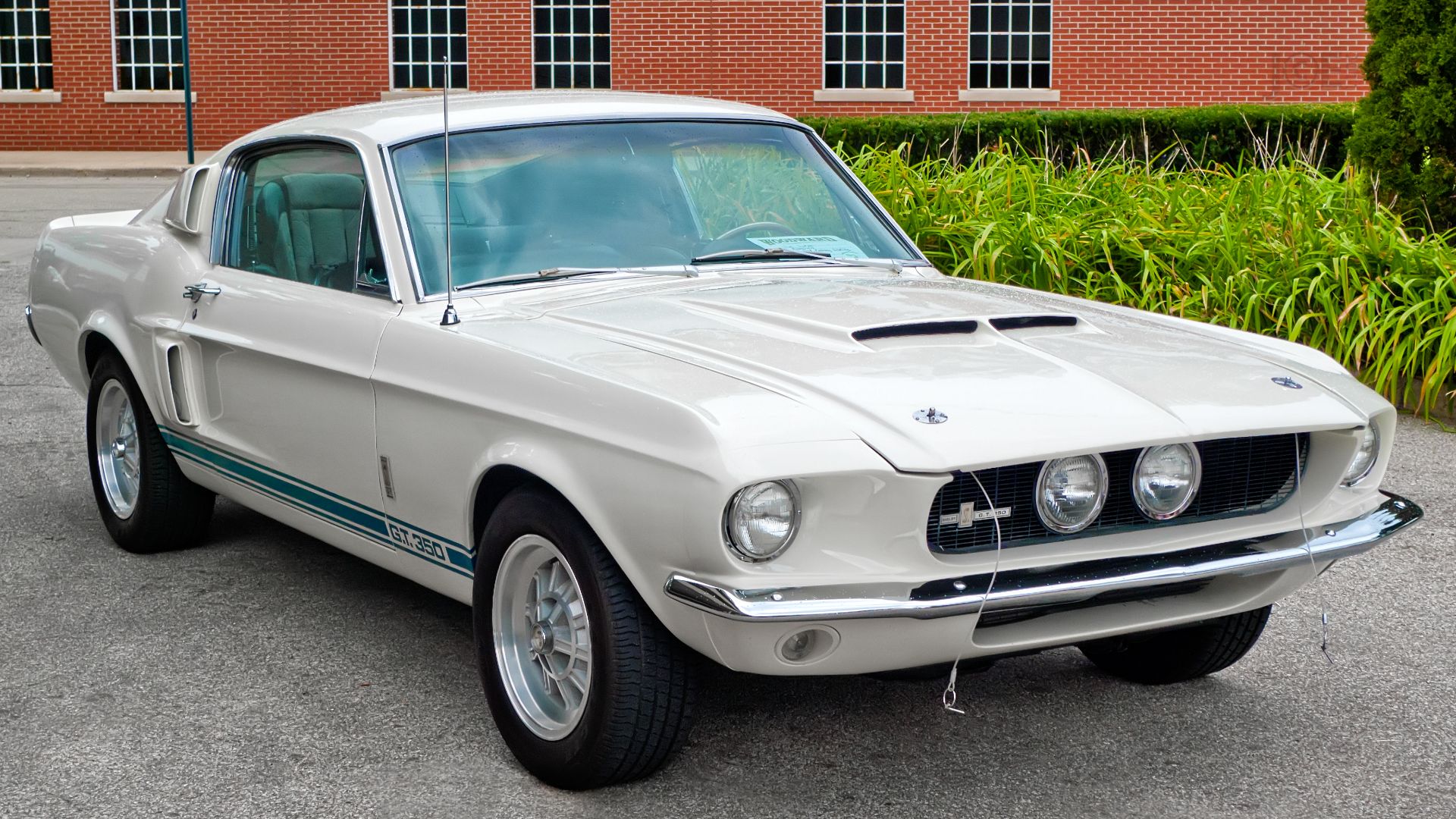 File:1967 Shelby GT350 (6086622137).jpg